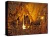 Drapery Room, Mammoth Cave National Park, Kentucky, USA-Adam Jones-Stretched Canvas