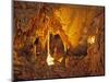 Drapery Room, Mammoth Cave National Park, Kentucky, USA-Adam Jones-Mounted Photographic Print