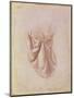 Drapery Study-Leonardo da Vinci-Mounted Giclee Print