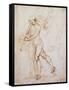 Drawing, Flagman-Raphael-Framed Stretched Canvas