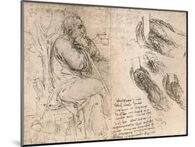 Drawing illustrating the representation of hair falling down in curls, c1472-c1519 (1883)-Leonardo Da Vinci-Mounted Giclee Print