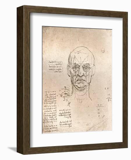 Drawing illustrating the theory of the proportions in the human figure, c1472-c1519 (1883)-Leonardo Da Vinci-Framed Giclee Print