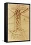 Drawing of a Flying Machine-Leonardo da Vinci-Framed Stretched Canvas