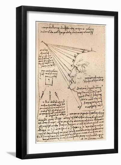 Drawing of a male head, illustrating the practice of painting, c1472-c1519 (1883)-Leonardo Da Vinci-Framed Giclee Print