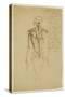 Drawing of a Man's Skeleton-James Ward-Stretched Canvas