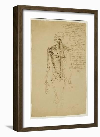 Drawing of a Man's Skeleton-James Ward-Framed Giclee Print