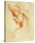 Drawing of a Woman-Michelangelo Buonarroti-Stretched Canvas