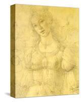Drawing of a Woman-Sandro Botticelli-Stretched Canvas