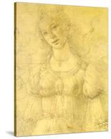 Drawing of a Woman-Sandro Botticelli-Stretched Canvas