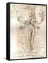 Drawing of an allegorical composition, c1472-c1519 (1883)-Leonardo Da Vinci-Framed Stretched Canvas