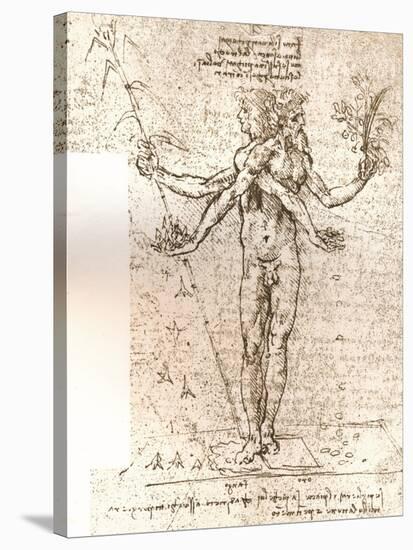 Drawing of an allegorical composition, c1472-c1519 (1883)-Leonardo Da Vinci-Stretched Canvas