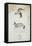 Drawing of an Antelope and a Fox-John Hanning Speke-Framed Stretched Canvas