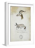 Drawing of an Antelope and a Fox-John Hanning Speke-Framed Giclee Print