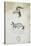 Drawing of an Antelope and a Fox-John Hanning Speke-Stretched Canvas