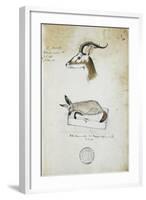 Drawing of an Antelope and a Fox-John Hanning Speke-Framed Giclee Print