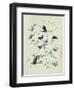 Drawing of butterflies and moths attributed to Settso-null-Framed Giclee Print