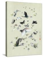 Drawing of butterflies and moths attributed to Settso-null-Stretched Canvas