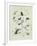 Drawing of butterflies and moths attributed to Settso-null-Framed Giclee Print