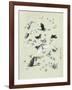 Drawing of butterflies and moths attributed to Settso-null-Framed Giclee Print