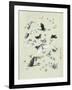 Drawing of butterflies and moths attributed to Settso-null-Framed Giclee Print