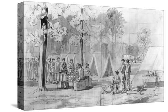 Stretched Canvas Print, , large