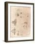 Drawing of ecclesiastical architecture, c1472-c1519 (1883)-Leonardo Da Vinci-Framed Giclee Print