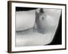 Drawing of Female Nude Torso and Legs-Winfred Evers-Framed Photographic Print