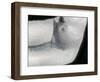 Drawing of Female Nude Torso and Legs-Winfred Evers-Framed Photographic Print