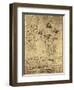 Drawing of Flowers and Diagrams by Leonardo da Vinci-Bettmann-Framed Premium Giclee Print