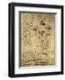 Drawing of Flowers and Diagrams by Leonardo da Vinci-Bettmann-Framed Premium Giclee Print