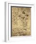 Drawing of Flowers and Diagrams by Leonardo da Vinci-Bettmann-Framed Premium Giclee Print