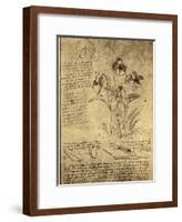 Drawing of Flowers and Diagrams by Leonardo da Vinci-Bettmann-Framed Giclee Print