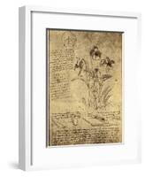 Drawing of Flowers and Diagrams by Leonardo da Vinci-Bettmann-Framed Giclee Print