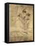 Drawing of Flowers and Diagrams by Leonardo da Vinci-Bettmann-Framed Stretched Canvas