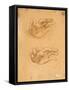 Drawing of Hands-Cesare da Sesto-Framed Stretched Canvas