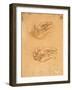 Drawing of Hands-Cesare da Sesto-Framed Art Print