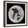 Drawing of Mars Showing 'Canals' and Dark Areas, 1896-null-Framed Giclee Print