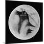 Drawing of Mars Showing 'Canals' and Dark Areas, 1896-null-Mounted Giclee Print