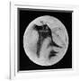 Drawing of Mars Showing 'Canals' and Dark Areas, 1896-null-Framed Giclee Print