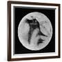 Drawing of Mars Showing 'Canals' and Dark Areas, 1896-null-Framed Giclee Print