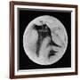 Drawing of Mars Showing 'Canals' and Dark Areas, 1896-null-Framed Giclee Print