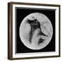 Drawing of Mars Showing 'Canals' and Dark Areas, 1896-null-Framed Giclee Print