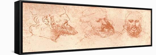 Drawing of Oriental Heads, in Red Chalk, C1472-C1519 (1883)-Leonardo da Vinci-Framed Stretched Canvas