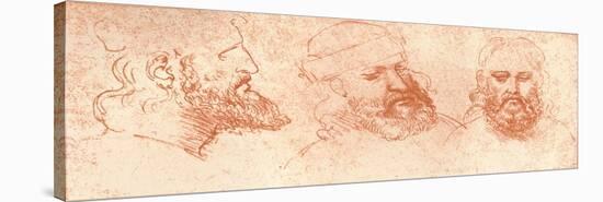 Drawing of Oriental Heads, in Red Chalk, C1472-C1519 (1883)-Leonardo da Vinci-Stretched Canvas