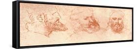 Drawing of Oriental Heads, in Red Chalk, C1472-C1519 (1883)-Leonardo da Vinci-Framed Stretched Canvas