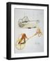 Drawing of Scythian Chariot-Ippolito Rosellini-Framed Giclee Print