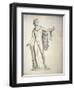 Drawing of the Apollo Belvedere-Cristoforo Recalcati-Framed Art Print