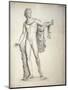 Drawing of the Apollo Belvedere-Cristoforo Recalcati-Mounted Art Print