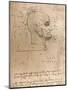 Drawing of the head of a criminal, c1472-c1519 (1883)-Leonardo Da Vinci-Mounted Giclee Print