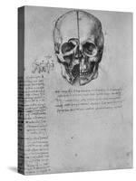 'Drawing of Two Halves of a Skull', c1480 (1945)-Leonardo Da Vinci-Stretched Canvas